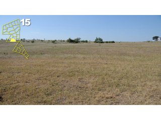 Property photo 86 - Mickle's Valley View Ranch and Canyon West Golf Club 506+/- Acres Offered in 27 Tracts in Weatherford, TX